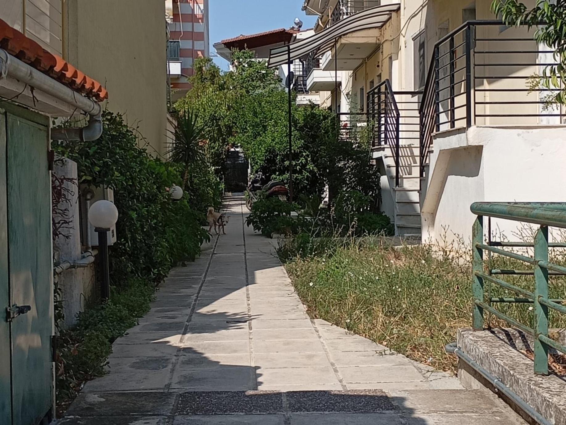 Sevasti Apartment